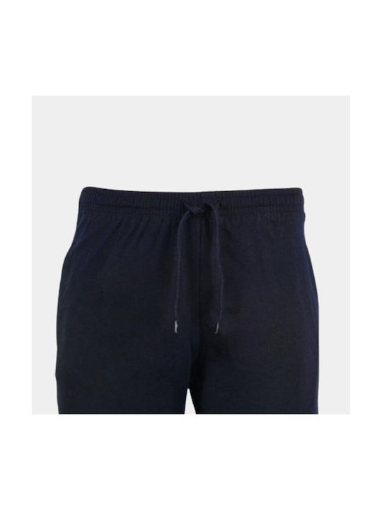 Target Kids Shorts/Bermuda Fabric Blue