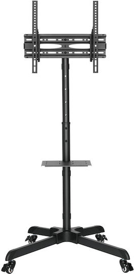 Audizio MFS30 129.182 Boden TV-Halterung Bis 65 Zoll Und 35kg