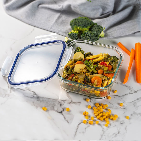 Kadax Glass Lunch Box Transparent 1100ml