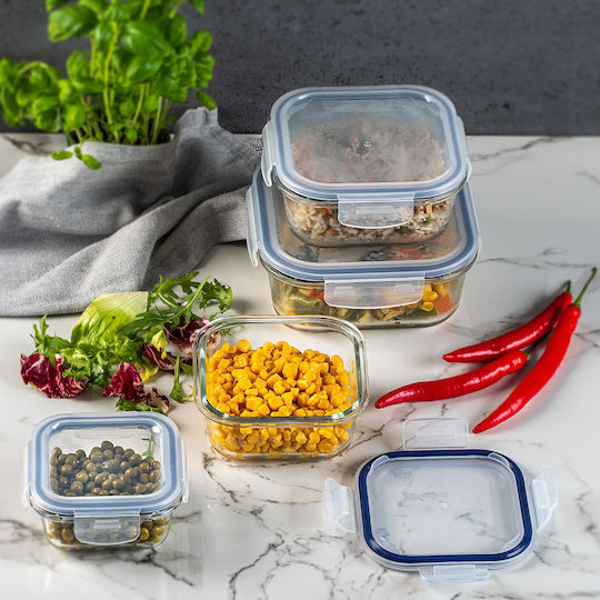 Kadax Glass Lunch Box Transparent 320ml