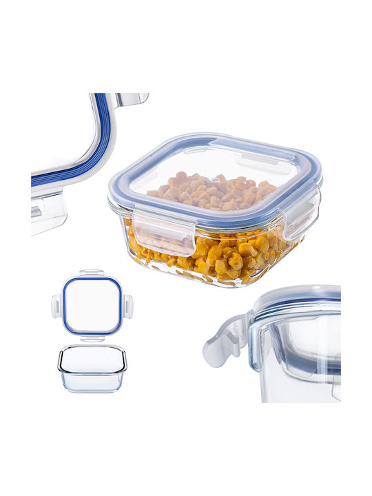 Kadax Glass Lunch Box Transparent 520ml