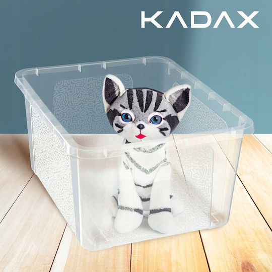 Kadax Kunststoff Aufbewahrungsbox mit Deckel Transparent 20Es 1Stück