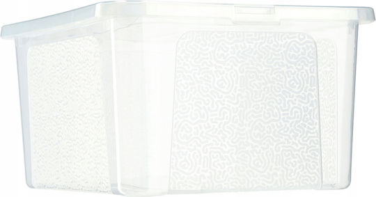 Kadax Kunststoff Aufbewahrungsbox mit Deckel Transparent 20Es 1Stück