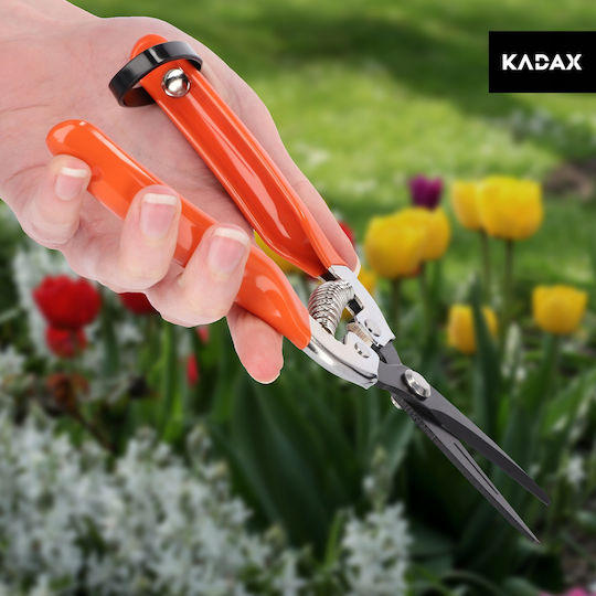 Kadax Ψαλίδι Τρύγου Μήκους 19cm