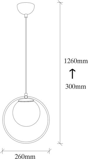 Adjustable Pendant Light Black Ball with Socket E27