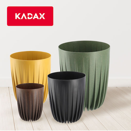 Kadax Kadax