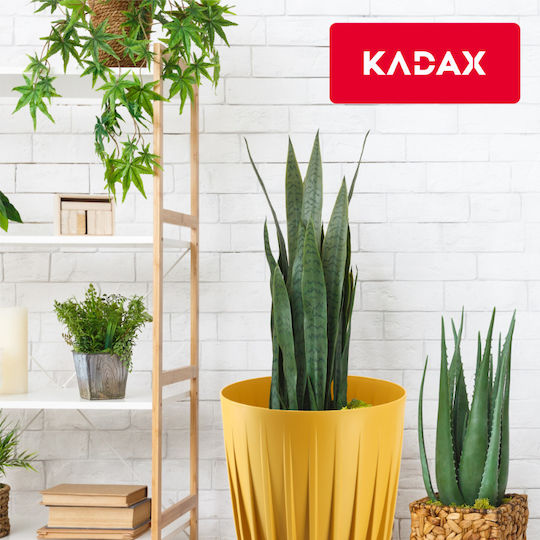 Kadax Ghiveci Plastic 19x19cm.