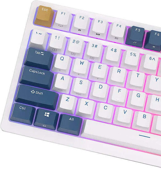 Royal Kludge RK98 Wireless Gaming Mechanical Keyboard with Custom Red switches and RGB lighting (English US) White