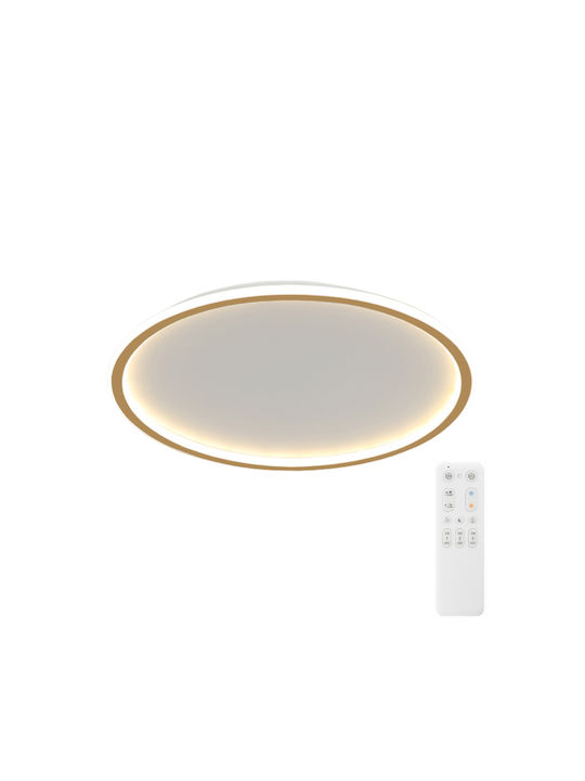Greenie Ceiling Light 50cm LED with Remote Control