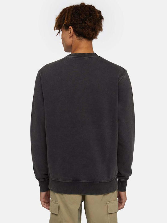 Dickies Dickies