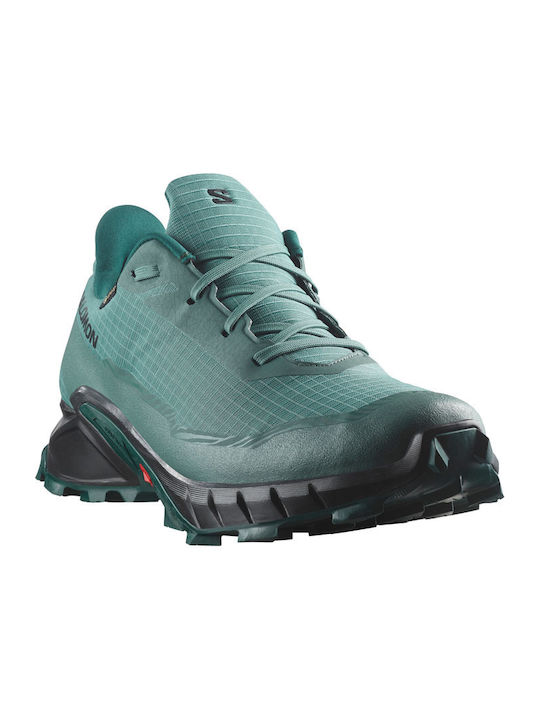 Alphacross 5 Sport Shoes Trail Running Waterproof with Gore-Tex Membrane Petrol Blue