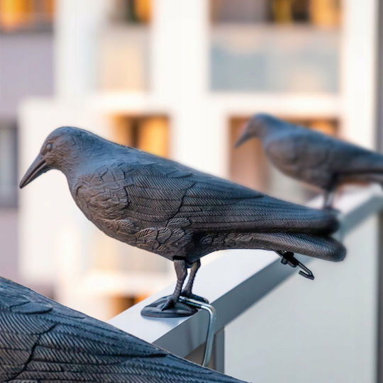 Kadax Abwehrspitzen Vögel