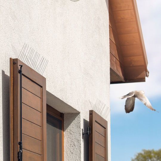 Kadax Abwehrspitzen Vögel 0.16x0.16m
