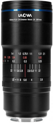 Laowa Camera Lens Macro for Pentax K Mount Black