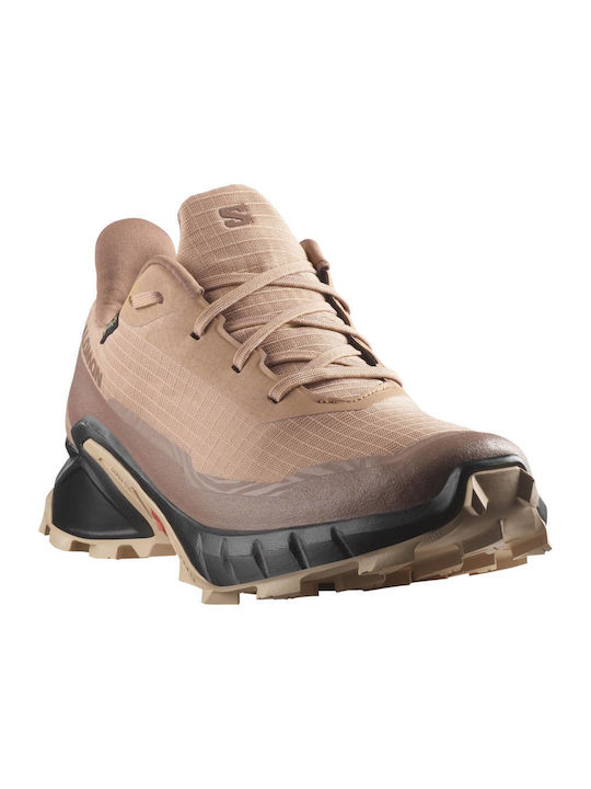 Aplhacross 5 GTX Sport Shoes Running Waterproof with Gore-Tex Membrane Cork / Black / Hazelnut - Salmon