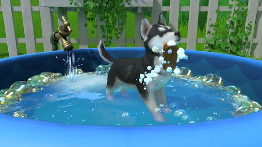 Little Friends: Puppy Island Joc pentru Switch