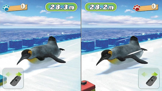 FUN! FUN! Animal Park (Code In A Box) Switch Game