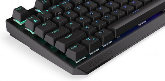 Endorfy Thock Wireless Gaming Mechanical Keyboard with Kailh Box Brown switches and RGB lighting (English US)