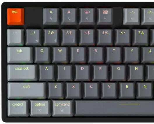 Keychron K8 Aluminum Gaming Mechanische Tastatur Tenkeyless mit Gateron Blau Schaltern und RGB-Beleuchtung (Englisch US)