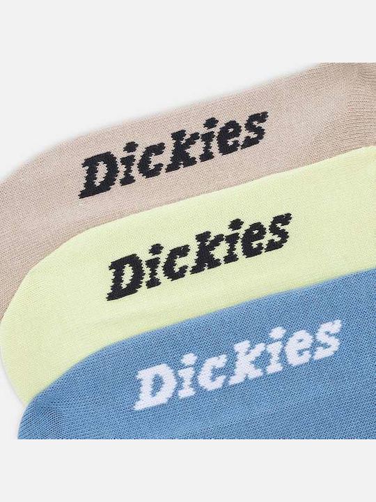 Dickies No Show Socken Mehrfarbig 3Pack