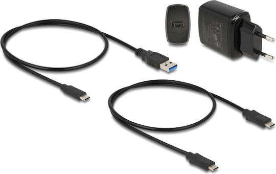 DeLock Docking Station για 2 Σκληρούς Δίσκους PCIe M.2(2230)" / M.2(2242)" / M.2(2260)" / M.2(2280)" με σύνδεση USB-C (64177)
