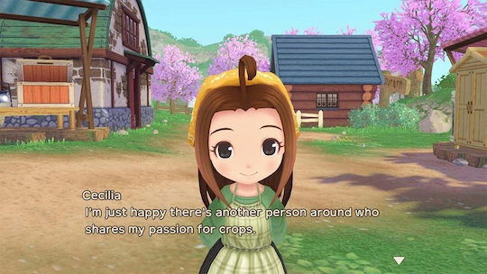 Story Of Seasons: A Wonderful Life Limited Издание Игра за Switch