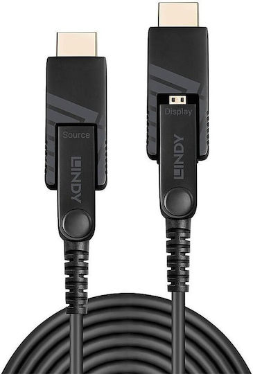 Lindy Cablu DVI-D - Micro HDMI de sex masculin 10m Negru (38320)