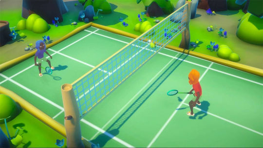 30 Sport Games in 1 Switch Game