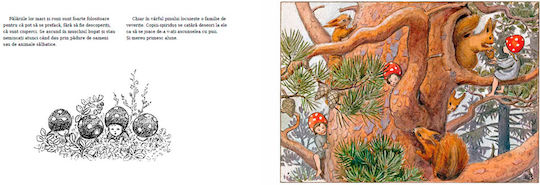 Copiii Pădurii Elsa Beskow