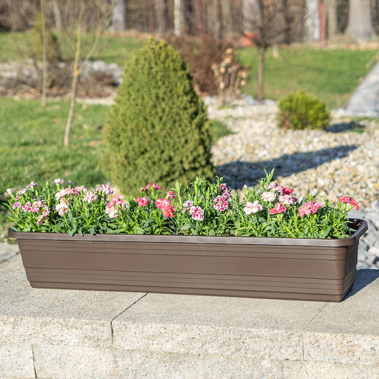 Kadax Balkon Blumenkasten 60cm Mocha Pflanzkasten