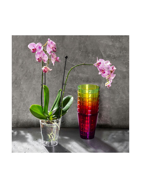 Kadax Ghiveci pentru Orhidee din Plastic 12 cm Roz