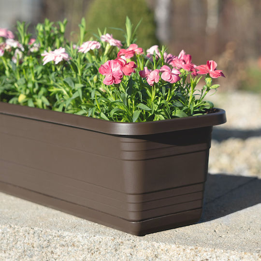 Jardinieră pentru balcon Kadax, ghiveci de flori 60cm + farfurie Mokka