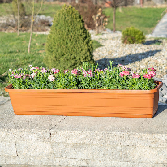 Kadax Jardiniere pentru Balcon Ghiveci de Flori 60cm + Farfurie Teracotă
