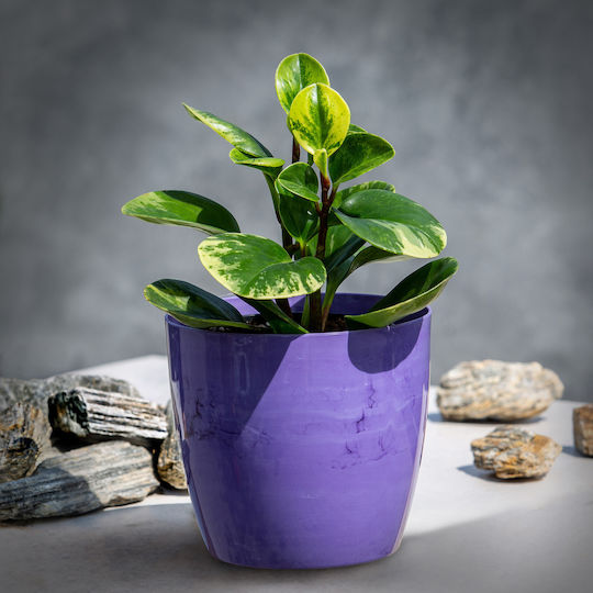 Kadax Blumentopf Abdeckung 12cm Lila Marmor Wohnzimmer