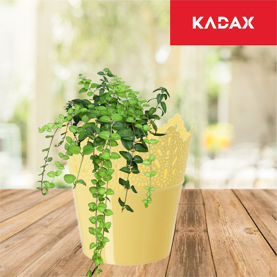 Саксия за цветя Kadax 12см
