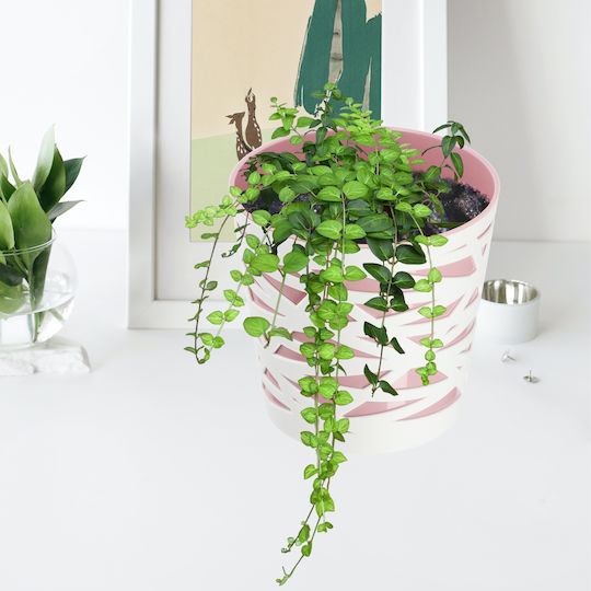 Ghiveci de Flori Kadax, Inserție din Plastic pentru Plante, 15 cm, Roz