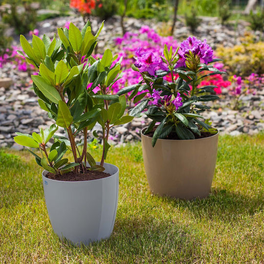 Kadax 3x Ghiveci 23cm Farfurie pentru Ghiveci Gri
