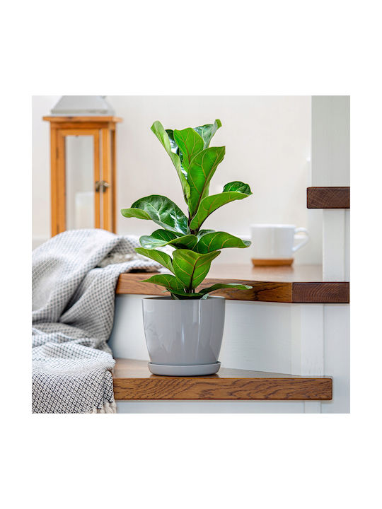 Kadax 3x Pot 23cm Planter Saucer Gray
