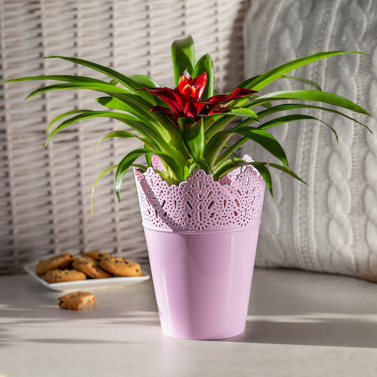 Kadax Flower Pot Cover 12cm Colors