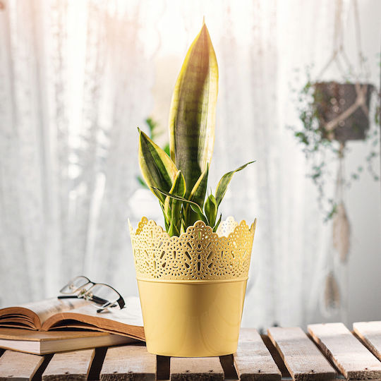 Kadax Blumentopf 16,5cm Farben