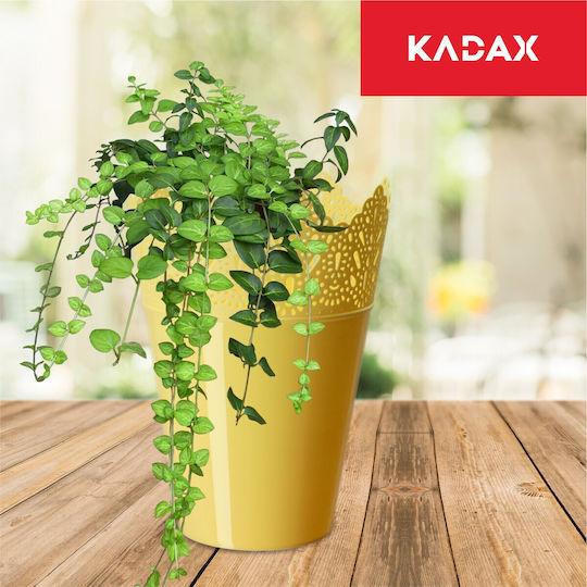 Kadax Blumentopf 14,5 cm Farben
