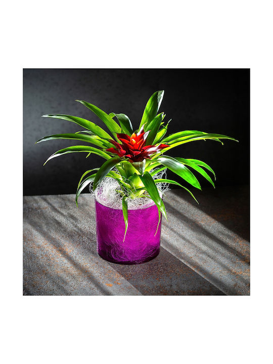Kadax Flower Pot Round Planter 12.5cm