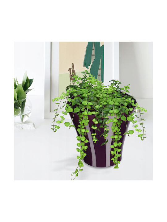 Kadax Flower Pot 16cm Bowl
