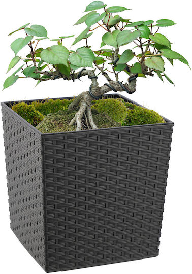 Kadax Flower Pot Cover Insert Graphite 25cm