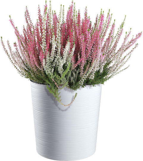 Kadax Flower Pot Eco White 30cm