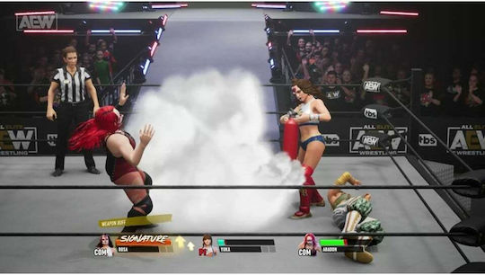 AEW: Fight Forever Joc Xbox Series X