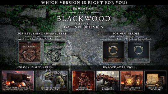 Elder Scrolls Online Xbox Series X Game