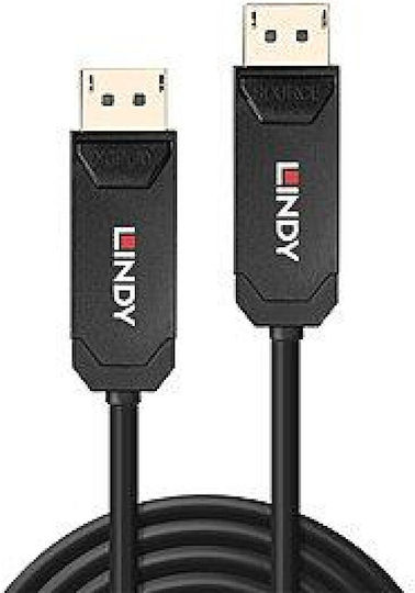 Lindy Converter DisplayPort male to DisplayPort female 1pcs (38520)