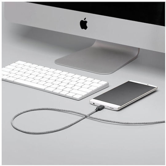 Native Union Union Belt Braided USB 2.0 Cable USB-C male - USB-A Γκρι 1.2m BELT-AC-ZEB-NP