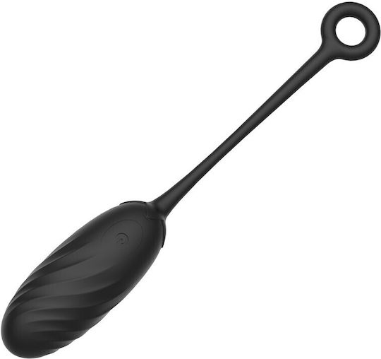 Passion Labs Vibrator Egg Negru